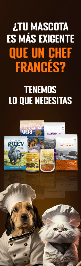 Publicidad